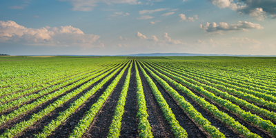 Crop Deptt